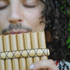 Nicolas Lingeri
